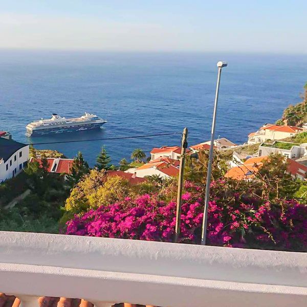 Cruise ship view
