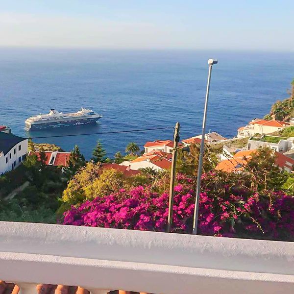 Cruise ship view